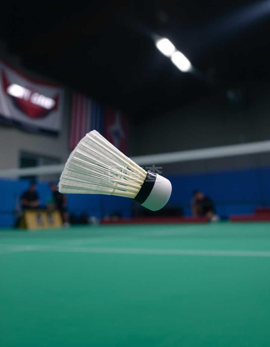 而霍华德则 而霍华德则